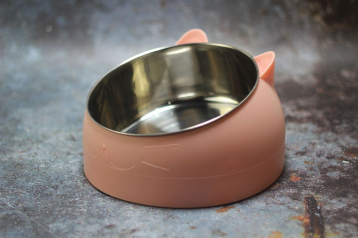 Protective Cervical Cat Bowl Oblique Mouth Pet Bowl