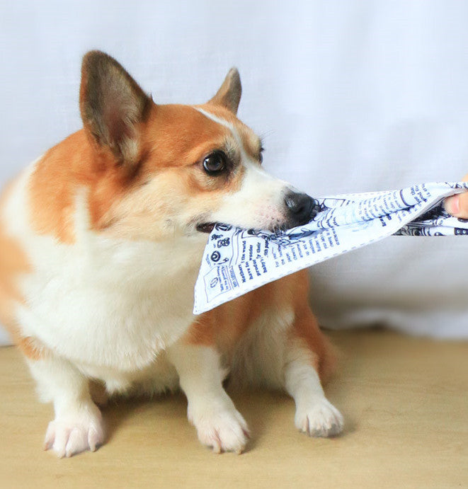 Pet Dog Sound Paper Newspaper Toy